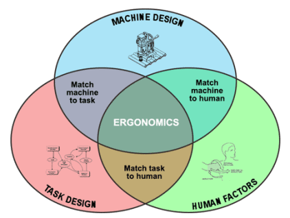 Ergonomics diagram