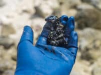 Oil spill clean up klein c